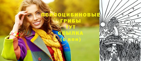 метадон Армянск