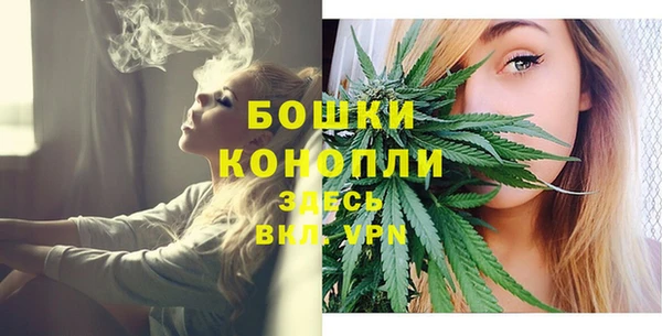 ПСИЛОЦИБИНОВЫЕ ГРИБЫ Алексеевка