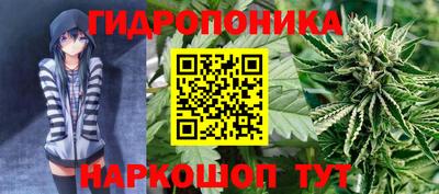 спиды Канаш