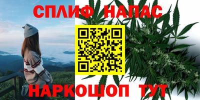 каннабис Камышлов