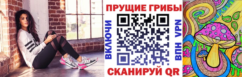 Галлюциногенные грибы прущие грибы  Новодвинск 