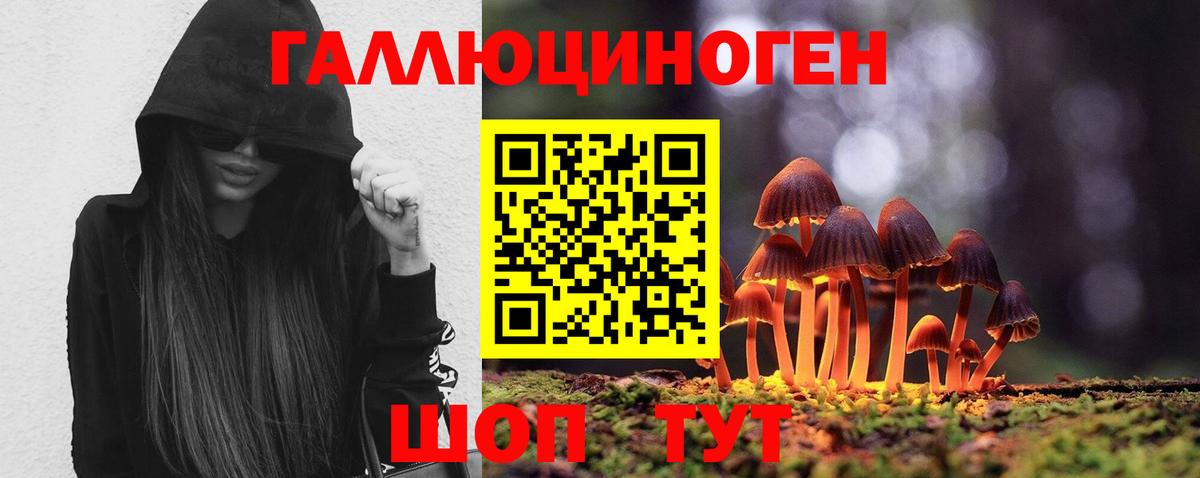 Псилоцибиновые грибы Psilocybine cubensis Новодвинск